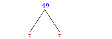 Prime Factorization of 49 with a Factor Tree